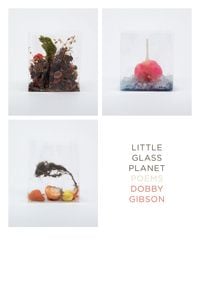 Produktbild: Little Glass Planet: Poems