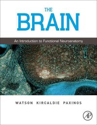 Produktbild: The Brain