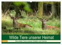 Produktbild: Wilde Tiere unserer Heimat (Wandkalender 2027 DIN A2 quer), CALVENDO Monatskalender