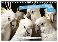 Produktbild: Die Magie der Masse (Wandkalender 2026 DIN A4 quer), CALVENDO Monatskalender