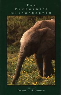 Produktbild: The Elephant's Chiropractor