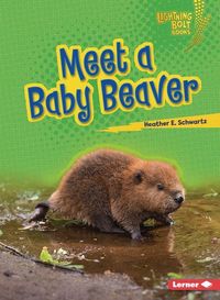 Produktbild: Meet a Baby Beaver