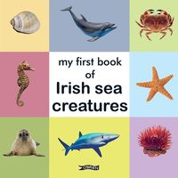 Produktbild: My First Book of Irish Sea Creatures