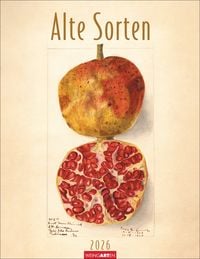 Produktbild Alte Sorten Kalender 2026