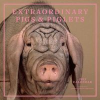 Produktbild: Cal 2013-Extraordinary Pigs &
