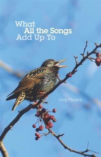 Produktbild: What All the Songs Add Up To