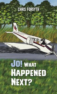 Produktbild: Jo! What Happened Next?