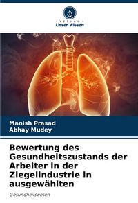 Produktbild: Bewertung des Gesundheitszustands der Arbeiter in der Ziegelindustrie in ausgew&auml;hlten