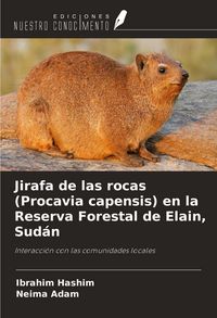 Produktbild: Jirafa de las rocas (Procavia capensis) en la Reserva Forestal de Elain, Sud&aacute;n
