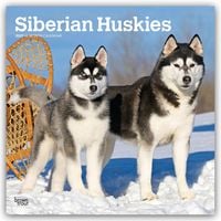 Produktbild: Siberian Huskies &ndash; Siberian Husky 2027 &ndash; 16-Monatskalender