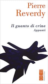 Produktbild: Il guanto di crine