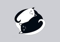 Produktbild: Postkarten Katzen Ying Yang (VE10)