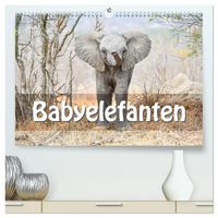 Produktbild: Babyelefanten (hochwertiger Premium Wandkalender 2026 DIN A2 quer), Kunstdruck in Hochglanz
