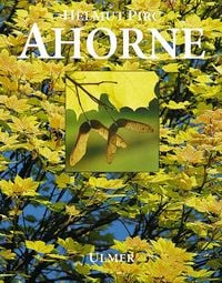 Produktbild: Ahorne