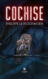 Produktbild: Cochise