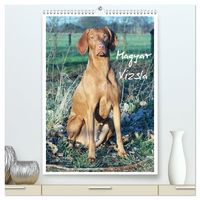Produktbild: Magyar Vizsla (hochwertiger Premium Wandkalender 2027 DIN A2 hoch), Kunstdruck in Hochglanz