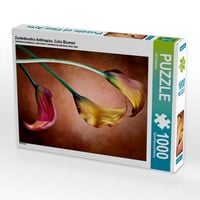 Produktbild: CALVENDO Puzzle Zantedeschia Aethiopica, Calla Blumen | 1000 Teile Lege-Gr&ouml;&szlig;e 64x48cm Foto-Puzzle f&uuml;r gl&uuml;ckliche Stunden