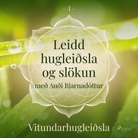 Produktbild: Leidd huglei&eth;sla og sl&ouml;kun - Vitundarhuglei&eth;sla