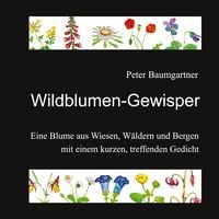 Produktbild: Wildblumen-Gewisper