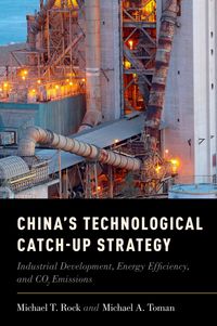 Produktbild: China's Technological Catch-Up Strategy