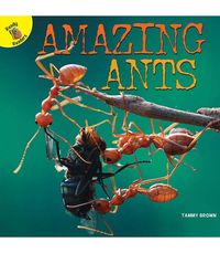 Produktbild: Amazing Ants
