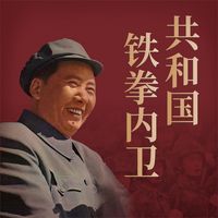 Produktbild: 共和国铁拳内卫