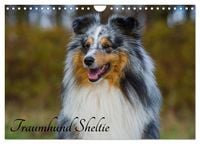 Produktbild: Traumhund Sheltie (Wandkalender 2026 DIN A4 quer), CALVENDO Monatskalender