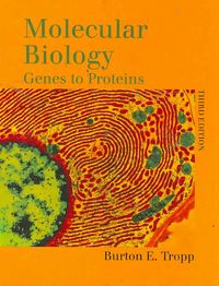 Produktbild: Molecular Biology: Genes to Proteins
