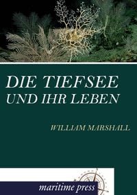 Produktbild: Die Tiefsee und ihr Leben