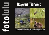 Produktbild: Bayerns Tierwelt