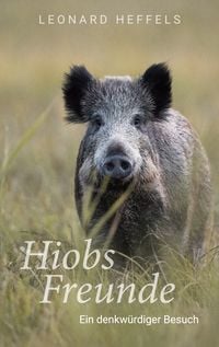 Produktbild: Hiobs Freunde