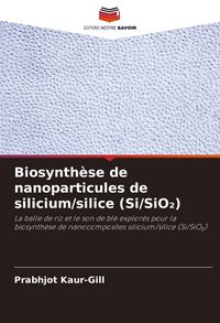 Produktbild: Biosynth&egrave;se de nanoparticules de silicium/silice (Si/SiO&iquest;)