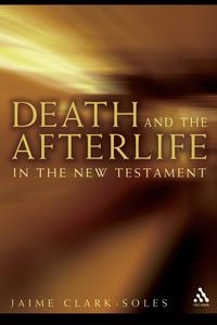 Produktbild: Death and the Afterlife in the New Testament