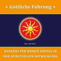 Produktbild: G&ouml;ttliche F&uuml;hrung