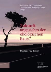 Produktbild: Zukunft angesichts der &ouml;kologischen Krise?
