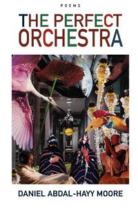 Produktbild: The Perfect Orchestra / Poems