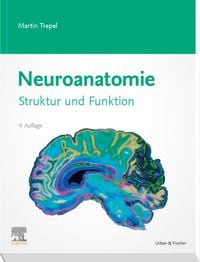 Produktbild: Neuroanatomie