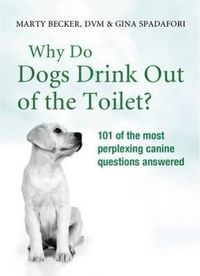 Produktbild: Why Do Dogs Drink Out Of The Toilet?