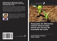 Produktbild: Respuesta de diferentes ma&iacute;ces blancos bajo estr&eacute;s por exceso de humedad del suelo
