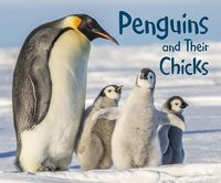 Produktbild: Penguins and Their Chicks