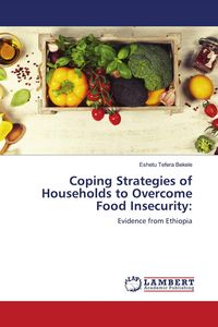Produktbild: Coping Strategies of Households to Overcome Food Insecurity: