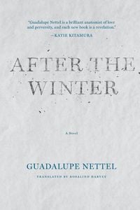 Produktbild: After the Winter