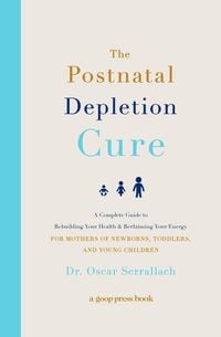 Produktbild: The Postnatal Depletion Cure