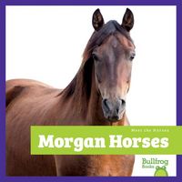 Produktbild: Morgan Horses
