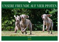 Produktbild: Unsere Freunde auf vier Pfoten - Hunde (Wandkalender 2026 DIN A3 quer), CALVENDO Monatskalender