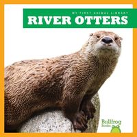 Produktbild: River Otters