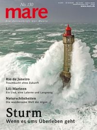 Produktbild: mare - Die Zeitschrift der Meere / No. 130/ Sturm