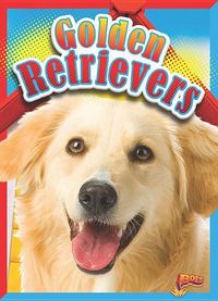 Produktbild: Golden Retrievers