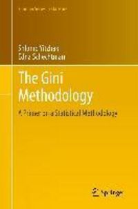 Produktbild: The Gini Methodology