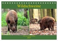Produktbild: Wildschweine - Tiere aus unseren W&auml;ldern (Tischkalender 2027 DIN A5 quer), CALVENDO Monatskalender